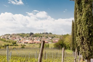 circondati dal verde